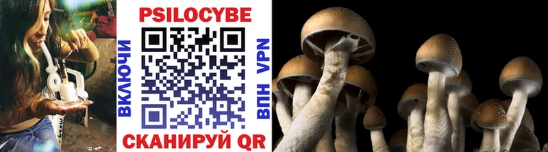 Галлюциногенные грибы MAGIC MUSHROOMS  Нижнекамск 